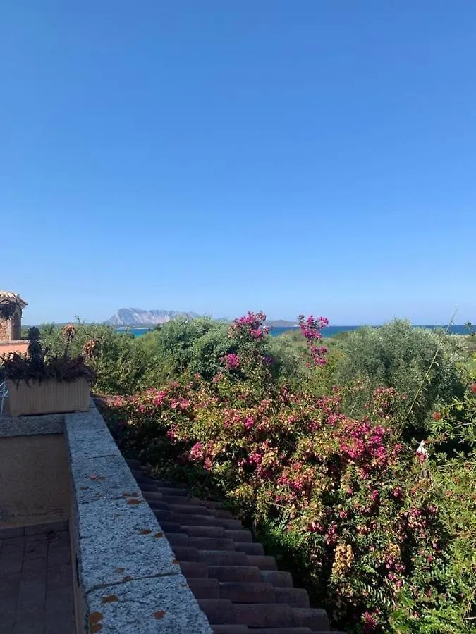 La Cinta Villa San Teodoro  Italy